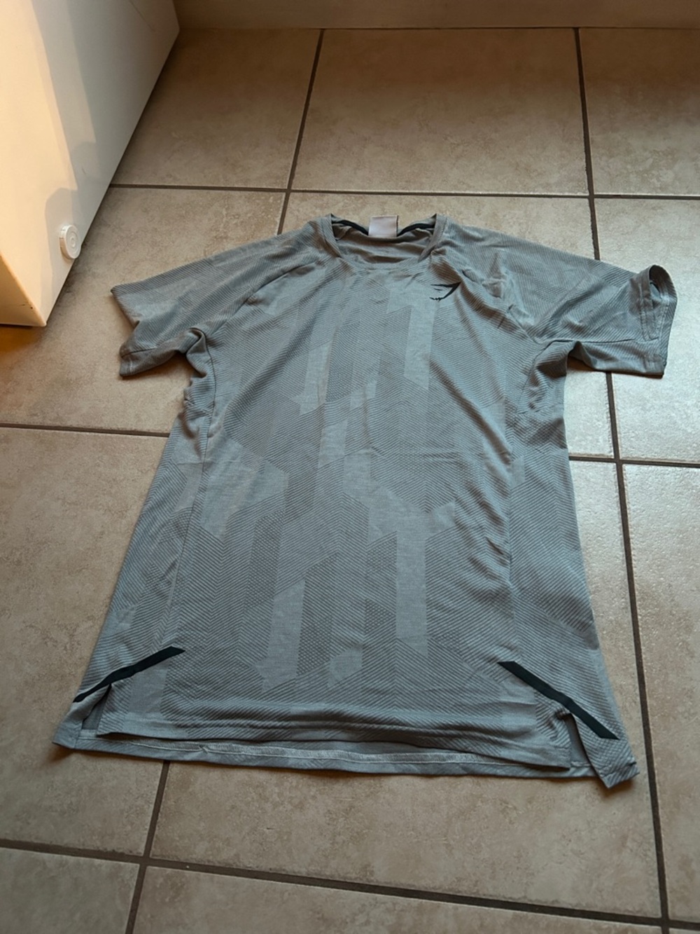 Gymshark Short-Sleeve Athletic Tee in Light Gray